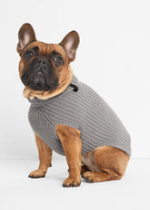Wool and Cashmere Shaker-Stitch Dog Sweater in Dog Accessories | Vince near me