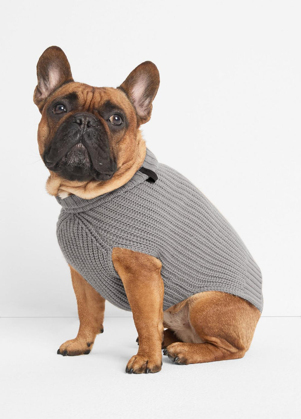 Wool and Cashmere Shaker-Stitch Dog Sweater in Dog Accessories | Vince near me